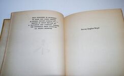 A TRUE TALE of LOVE in TONGA. Additional Image