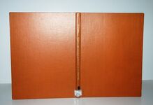 The Church of St Bertelin At Stafford and its Cross; Excavation Report Additional Image