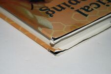 Practical Beekeeping Additional Image