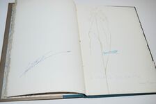 A Place on Earth Additional Image