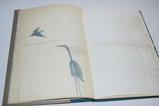 A Place on Earth Additional Image