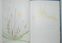 A Place on Earth Additional Image