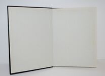 The Story of B. I. P. Additional Image