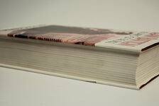 Jean Batten The Garbo of the Skies Additional Image