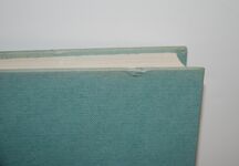 British Midlands Airways Additional Image