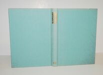 British Midlands Airways Additional Image