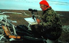 The Waterfowl Art of Maynard Reece Additional Image