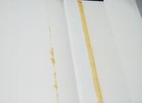 Gears Spur, Helical, Bevel, Internal, Epicyclic and Worm Additional Image