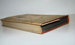 Alice's Adventures in Wonderland & through the Looking Glass Additional Image