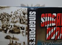 Singapore's Dunkirk The Aftermath of the Fall Additional Image