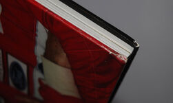 Ayrton Senna  Above and Beyond Additional Image