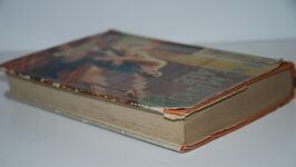 Dead Man's Tale A School Detective Story Additional Image