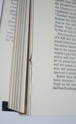 Fly by Night Additional Image