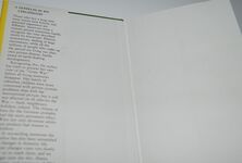 Zeppelin in My Childhood Additional Image