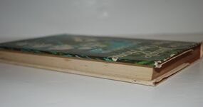 The Jungle Was Our Home Additional Image