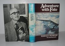 Adventure with Fate Additional Image