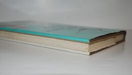 Big-Game Fishing in British Waters Additional Image