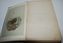 A Natural History of the Nests and Eggs of British Birds - Complete in 3 Additional Image
