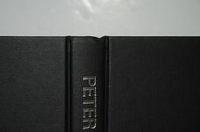 Peter Five Additional Image