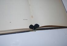 Taurus Pursuant A History of 11Th Armoured Division Additional Image