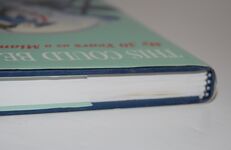 This Could be the Year My 30 Years As a Miami Dolphins Fan Additional Image