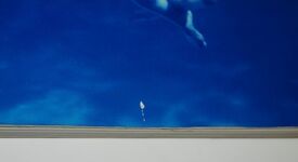 The Eye of the Storm The Album Graphics of Storm Thorgerson with Peter Additional Image