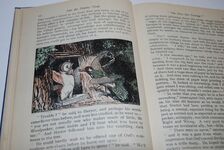 Into the Happy Glade Additional Image