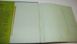 South American Steam A Pictorial Survey Additional Image