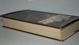 Hitler Additional Image