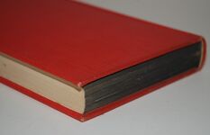 Czechoslovakia in European History Additional Image