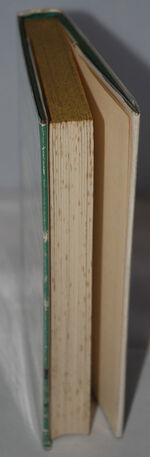 'Challenger'  The life of a survey ship Additional Image