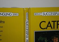 Catfish Additional Image