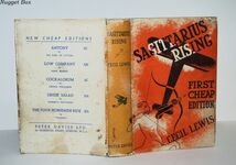 Sagittarius Rising Additional Image