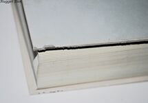 BRADY PLAYS the BLUES My Diary of the Season Additional Image