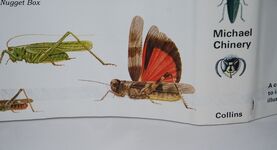 A Field Guide to the Insects of Britain and Northern Europe Additional Image