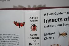 A Field Guide to the Insects of Britain and Northern Europe Additional Image