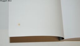 From Bromsgrove to Aston Fields A Story of Victorian Expansion Additional Image