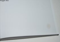 From Bromsgrove to Aston Fields A Story of Victorian Expansion Additional Image