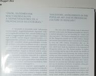 The Wild Flowers of Fine Arts: 100 Hungarian Artists of Popular and Naive Additional Image