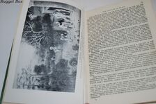 The Foreigner in China Additional Image