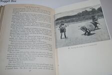 I Left My Roots in China Additional Image