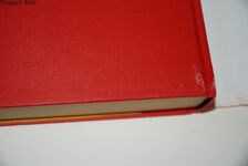 Meredith, Alone The Hopeful and Uplifting Debut You’Ll Never Forget Additional Image