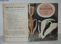 The Badger Additional Image
