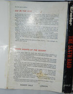 Sixth Raid Additional Image