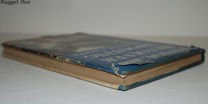 Pistol and Revolver Shooting Additional Image