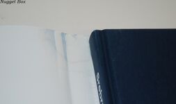 Silver Wings Serving and Protecting Croatia Additional Image