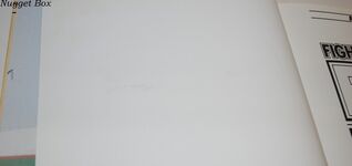 FACT FILE F 111 Additional Image