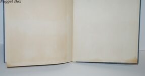 Pieter Bruegel the Elder A Study of His Paintings Additional Image