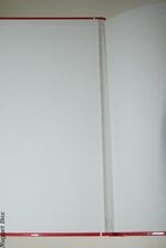 South African Two-Foot Gauge Featuring the Garratts Additional Image