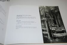 ALVIS Scorpion Light Tank (CVR (T) ) Additional Image